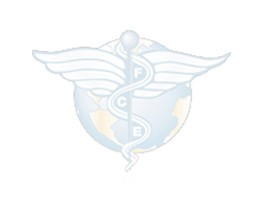 FCE La Légion d'honneur à Christine Nacry