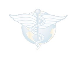 FCE Les Trophées "Elles Créent en Nord-Pas-de-Calais"